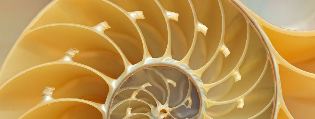 XVIII National Conference Italian Society of Accounting History